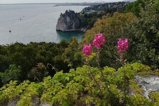 Avantura na štirikolesnikih