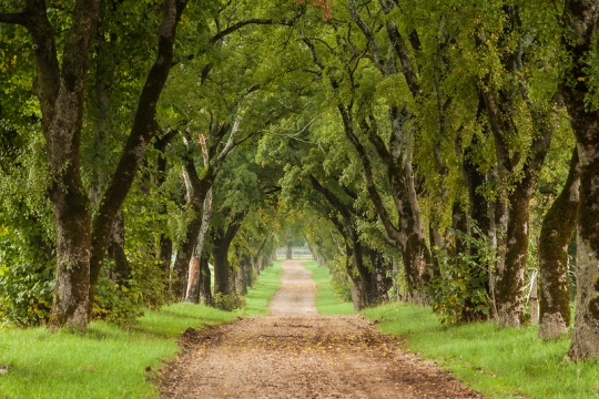 Kolesarski užitki po kraških ovinkih